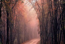 我们小时候不叫孤独症